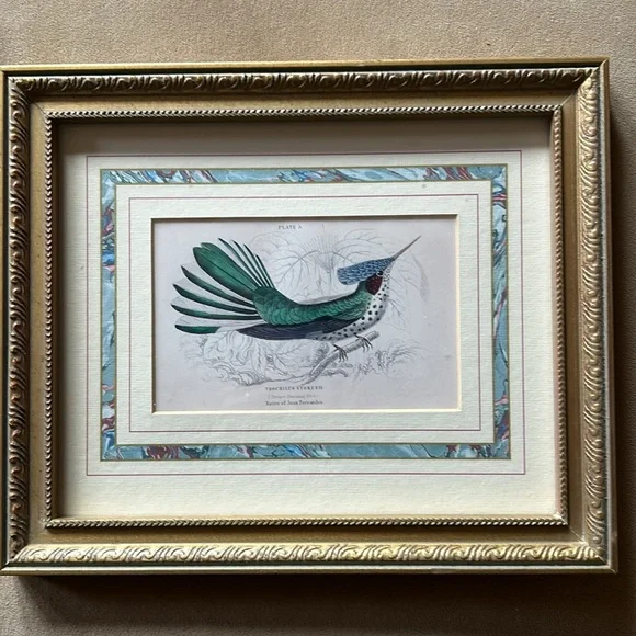 AntiqueHumminbird pictureJoan Fernandezwith franch provincial decor